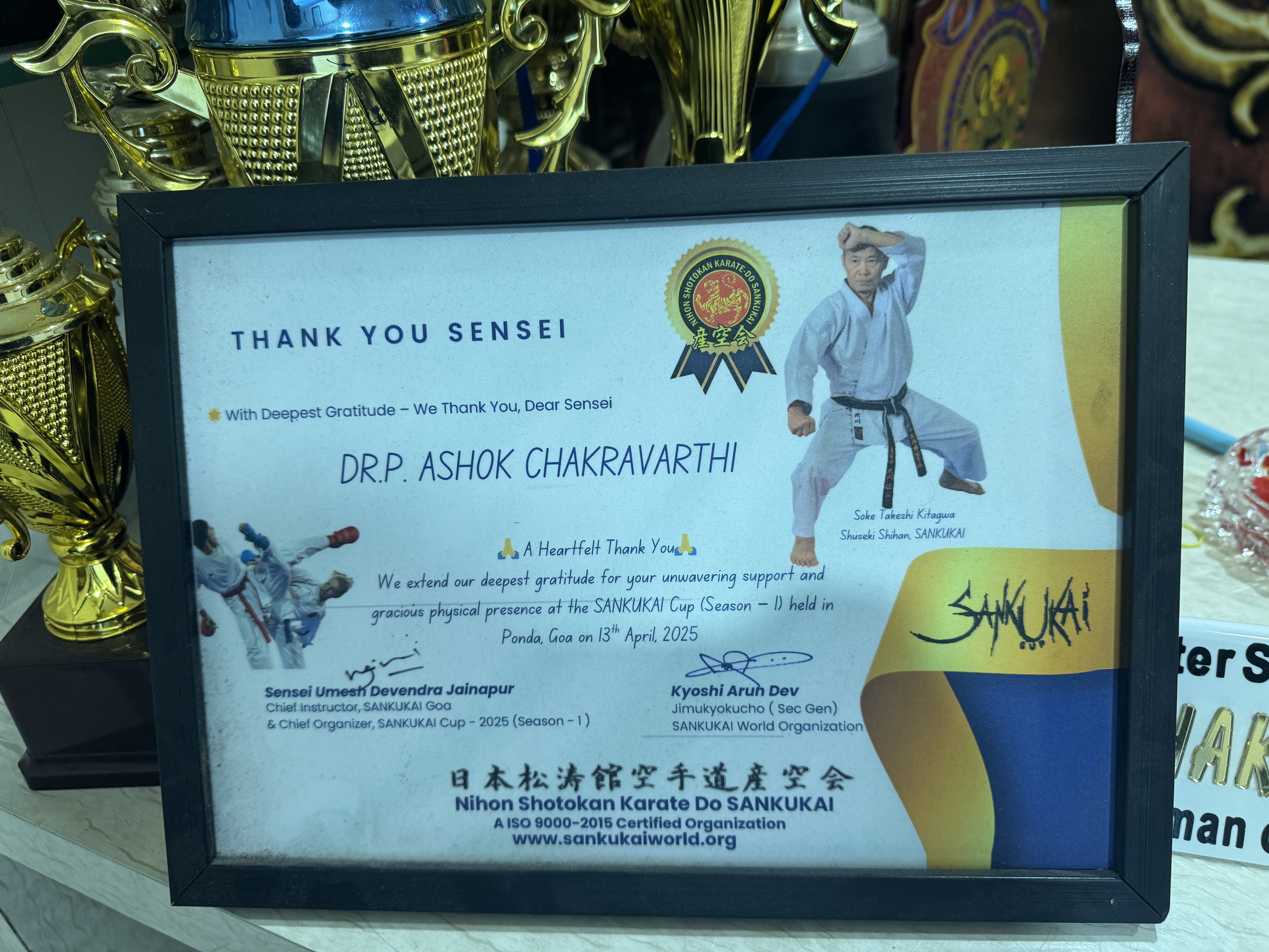 National Martial Arts Excellence Award